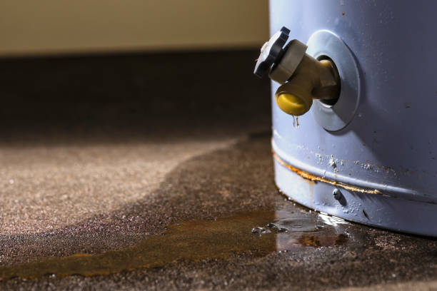 Best Basement water damage restoration  in Othello, WA