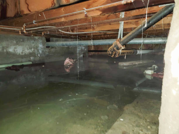 Best Ceiling water damage repair  in Othello, WA