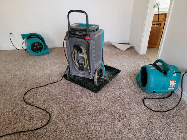 Best Mold removal after water damage  in Othello, WA