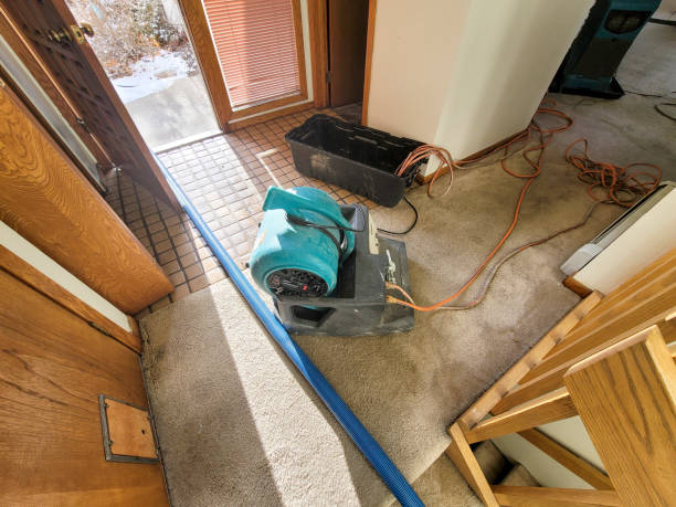 Best Water damage restoration near me  in Othello, WA