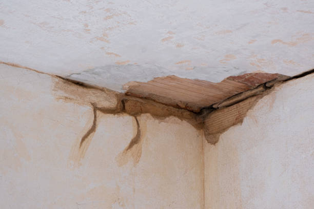 Best Basement water damage restoration  in Othello, WA