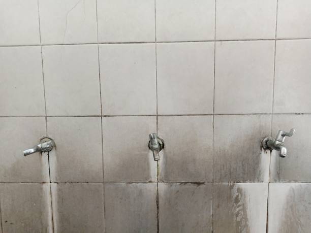 Best Flood damage cleanup  in Othello, WA
