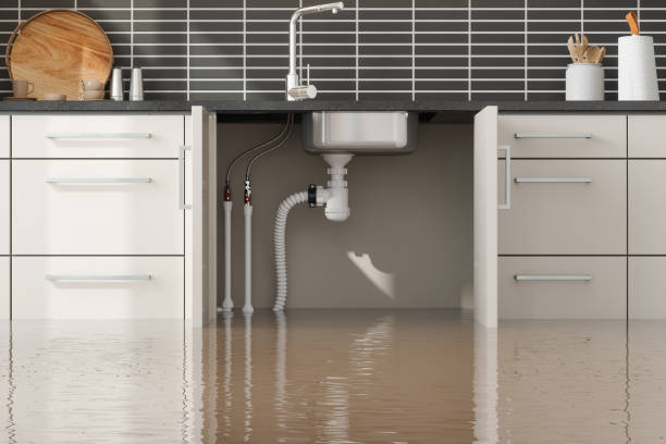 Best Water damage restoration near me  in Othello, WA