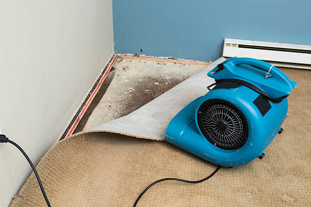 Best Water damage restoration process  in Othello, WA